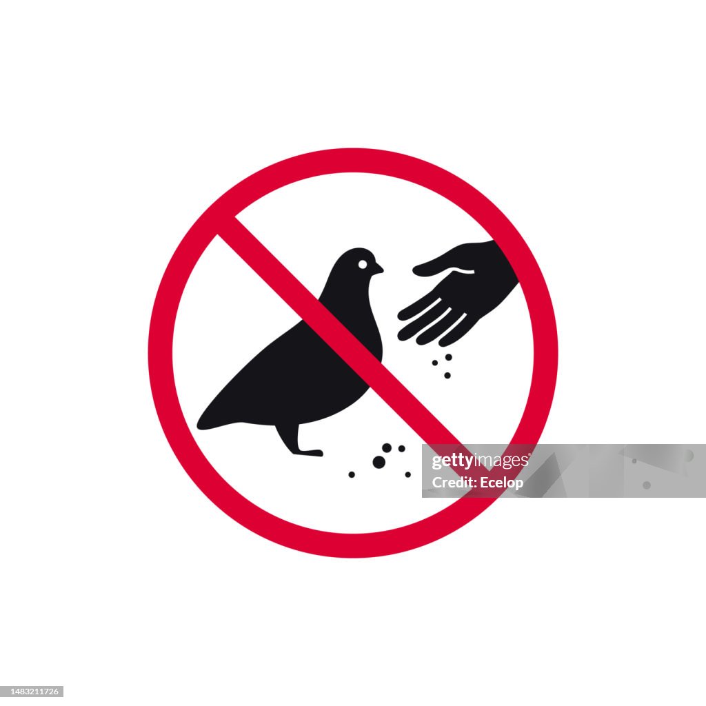 
    
            
                    Tauben bitte nicht füttern!
                
        
