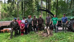 Abbau von Verbissschutz im Wald